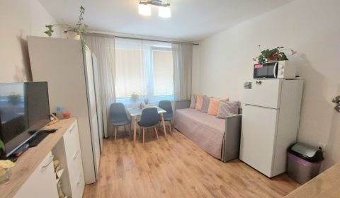 KOMPLETNE PREROBENÁ GARSÓNKA + PIVNICA: Nitra – Chrenová ! 