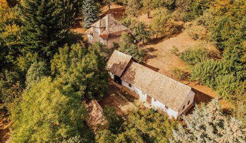 PREDAJ: Vidiecka usadlosť pri Lučenci - 4770 m2, Gregorova Vieska