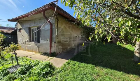Pôvodný vidiecky domček na veľkorysom 32-árovom pozemku so sadom a skl
