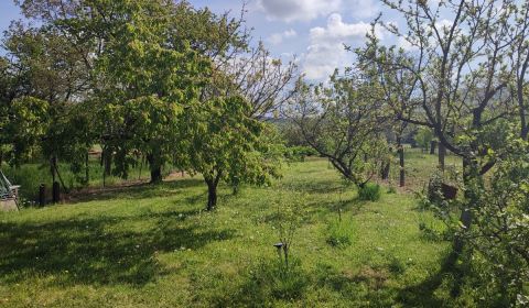 Ponúkame Vám na predaj nádherný pozemok v obci Kaluža.