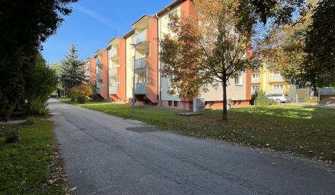 NA PREDAJ! 2 izbový byt v pôvodnom stave 64m2 ul. Gen. Viesta, Trenčín