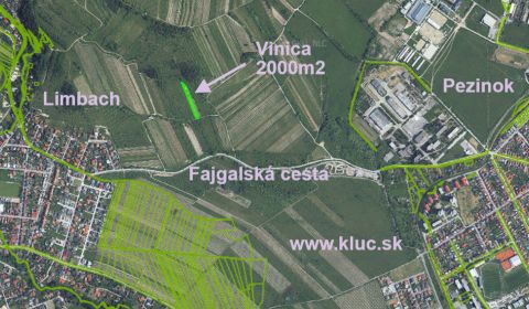 Oplotený obrábaný vinohrad so studňou.Fajgalská cesta