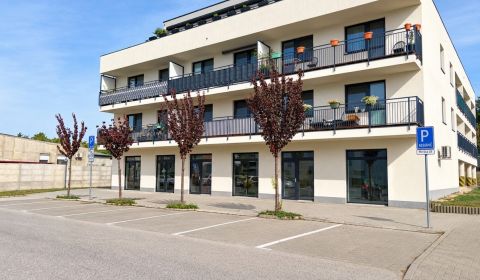 2 IZBOVY BYT 46.16m2 + 8m2 loggia - NOVOSTAVBA | TT - MODRANKA
