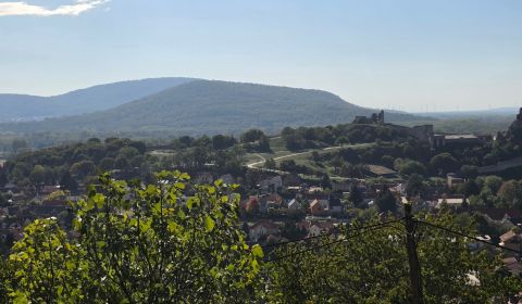 DEVÍN, krásny pozemok 259 m2 - s VÝHĽADOM na DEVÍNSKY HRAD