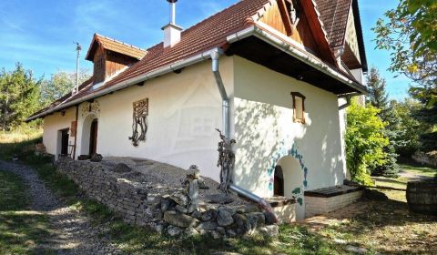 Historická vínna pivnička z roku 1844 v obci Pečenice, okres Levice