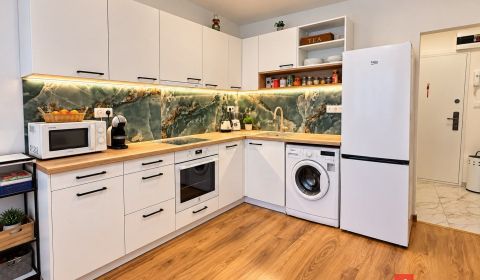 Krásny 1 izbový byt na predaj v Leviciach