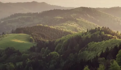 Závadka (HE) – 13.917 m2 LESOV (Urbáru)