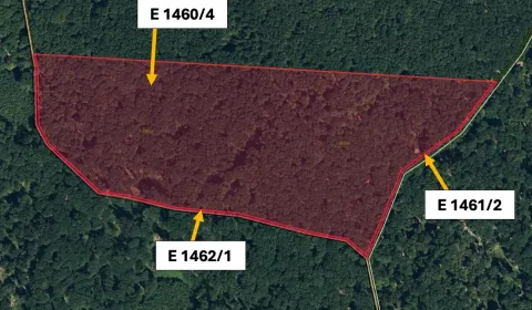 Kysta – 6.163 m2 LESNÝ pozemok - Predaj
