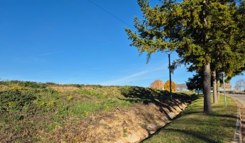 VELČICE - Stavebný pozemok, od 650 m2, okr. Zlaté Moravce