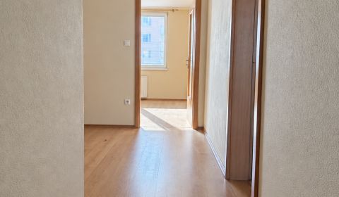 Priestranný 2-izbový byt - 61,5 m², kpt. Nálepku