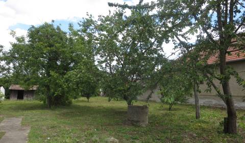 PREDAJ :stavebný pozemok, obec Veľké Kosihy - v blízkosti Dunaja