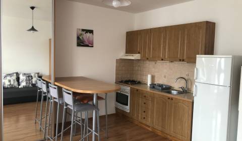 Prenájom 1 izbový byt Uzbecká ulica Bratislava II Podunajské Biskupice