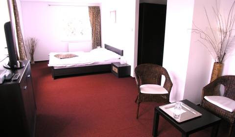 Na Predaj  luxusný penzión v Trnave