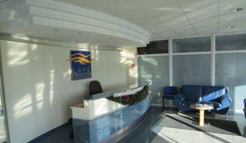 Kancelárie na prenájom, Lake Building
