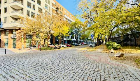 PRENÁJOM, slnečný a priestranný 2i byt v Starom Meste, BA I