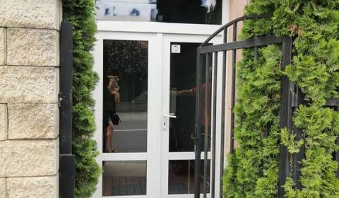 Kancelárie v tichej lokalite , vlastný parking, Senec
