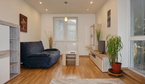 PRENAJATÉ-Moderný 2 izb.byt na prenájom, 66 m2+balkón, Jilemnického