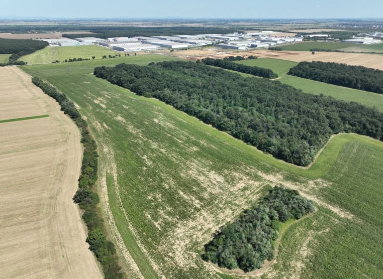 PREDAJ investičného pozemku Senec  - pozemok zhora - smer senecke sklady.jpg