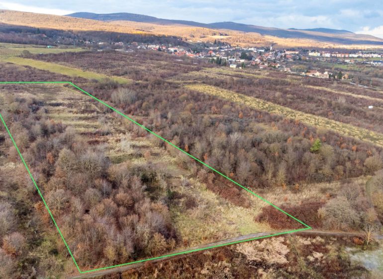  Stavebné pozemky 11 558 m² v atraktívnej lokalite Častá – Píla - Pozemky - bývanie v Častej s bujnou vegetáciou a širokým výhľadom na okolitú krajinu.