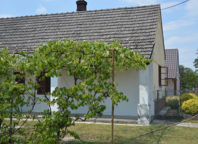 Chalúpka v typickom štýle Záhoria, pod starou lipou! - Rodinný dom v Borskom Svätom Jure so starou strechou a viničom na dvore.