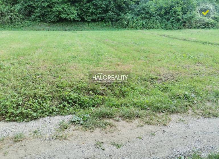Predaj, pozemok pre rodinný dom   1210 m2 Modrová - Pozemky - bývanie v Modrovej zahŕňajú trávnatú plochu pri lese s cestou.