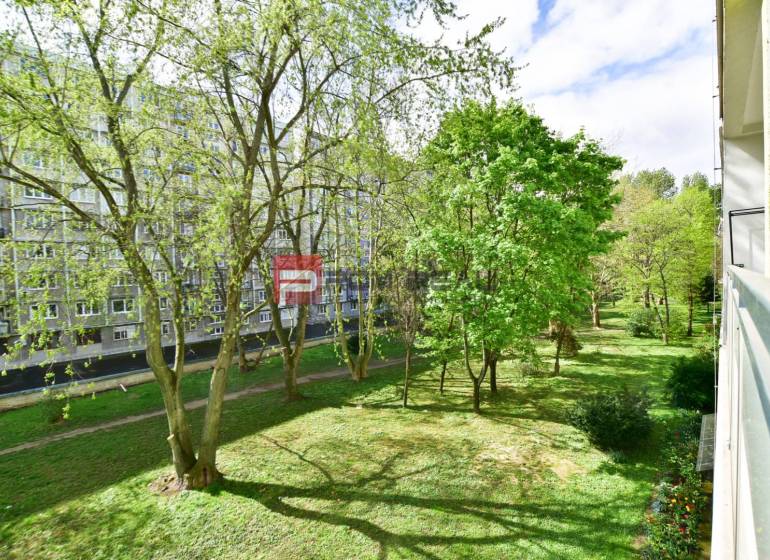 Hladám 3 izbový byt Centrum, Pezinok - Výhľad zo 3-izbového bytu na zelený park v Centre Pezinka.