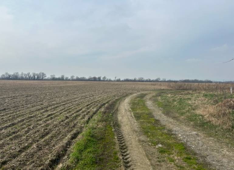 Zálesie orná pôda na predaj 3237m2 /21,- Eur / m2 - Poľnohospodárske a lesné pozemky v Zálesí na ulici Domky s poľnou cestou.