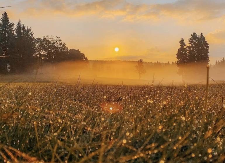 Ladomirov – 1.771 m2 INVESTIČNÉ pozemky – NA PREDAJ - Východ slnka nad hmlistými poľnohospodárskymi a lesnými pozemkami v Ladomirove.