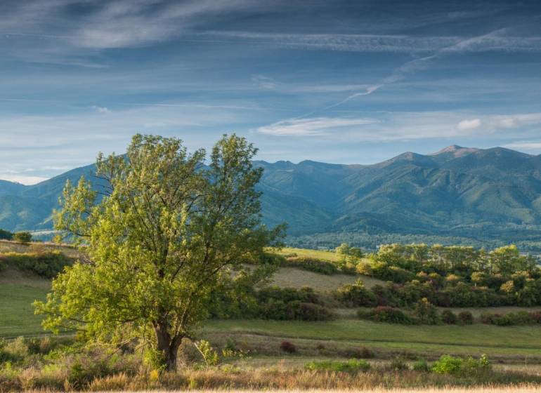 Sučany – 5.375 m2 ORNÁ PÔDA - PREDAJ - Krajina Poľnohospodárskych a lesných pozemkov pri Sučanoch s panorámou hôr a stromom v popredí.