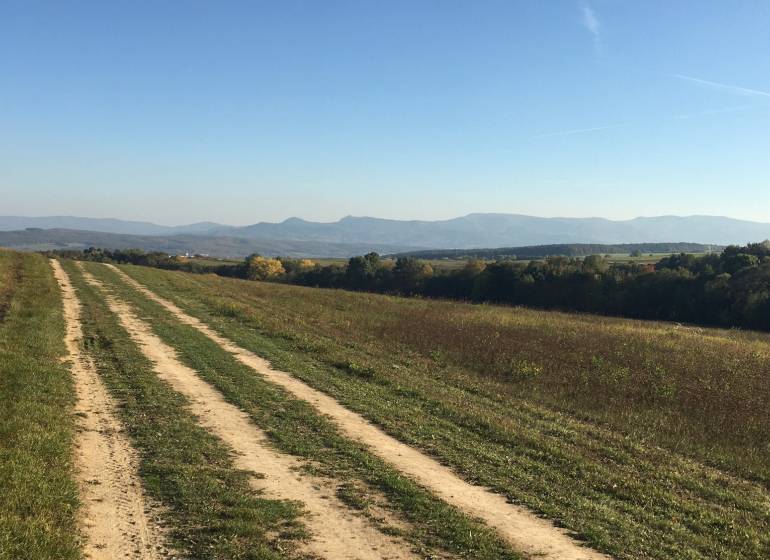 Prievidza – 986 m2 ORNÁ PÔDA - PREDAJ - Poľnohospodárske a lesné pozemky, poľná cesta s výhľadom na kopce v okolí Prievidze.
