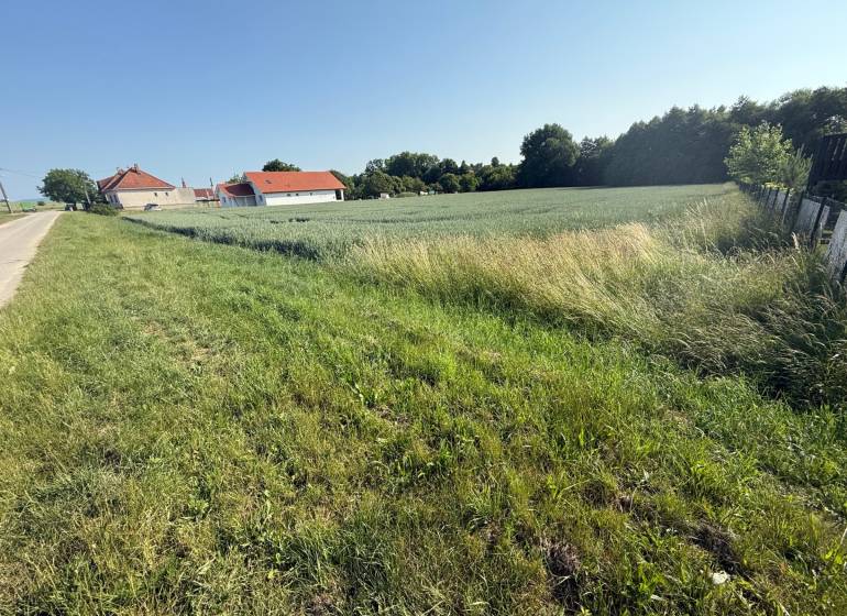 BOJNA - investičný pozemok na výstavbu RD, výborna lokalita - Trávnaté pozemky na bývanie v Bojnej; domy, pole a cesta vedľa lesa.