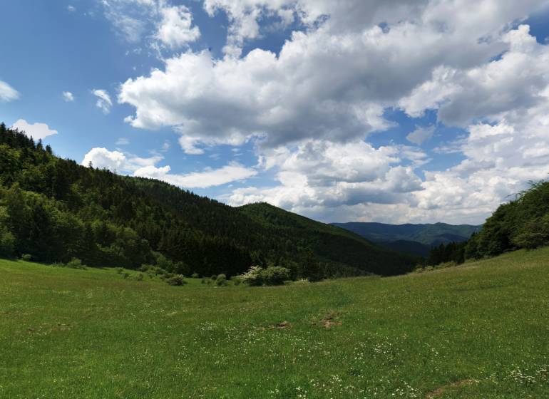 Čavoj – Spoluvlastnícky podiel na lesoch (urbár) - Zelená lúka obklopená lesmi a kopcami v Čavoji, ideálna pre poľnohospodárske a lesné pozemky.