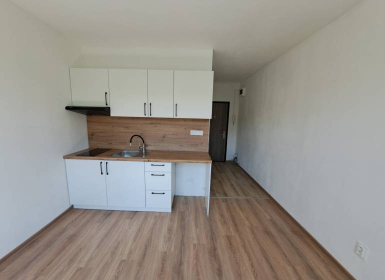 REZERVOVANÉ! Predáme  garsónku, 21 m2, Mikovíniho ul., Nitra - Garsónka s kuchynskou linkou, drevené podlahy, biele skrinky, svetlé steny.