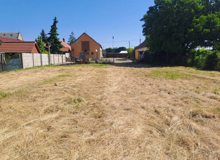 Dom s obrovským pozemkom, rodinné bývanie i investičná príležitosť! - Záhrada pri rodinnom dome v Sládkovičove s upraveným trávnikom a ohradou.