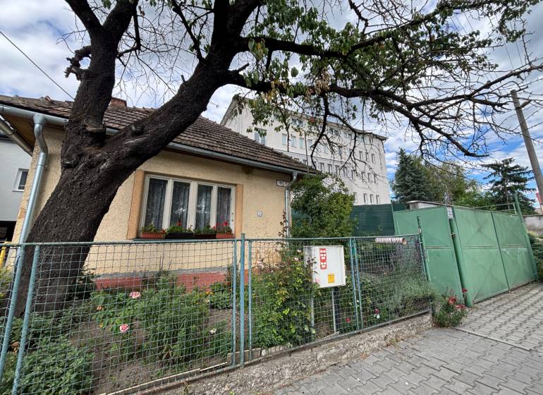 Na predaj starší rodinný dom v centre Ilavy – pozemok 280 m² - Rodinný dom v Ilave s predzáhradkou a veľkým stromom pri chodníku.