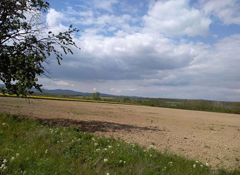 Hľadáme na kúpu pozemky na výstavbu v Bratislavskom kraji. - Lúka, vzdialené vrchy a stromy poskytujú pokojné miesto pre bývanie a pozemky.