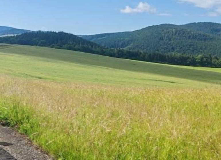 Pozemok na Králikoch. - Krásne lúky a polia vhodné na pozemky - bývanie v Králikoch, zelená krajina na horizonte.