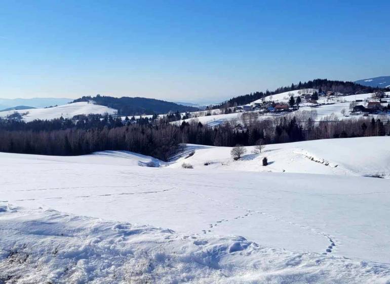 Pozemok (7750m2) s výhľadom na Nízke Tatry. - Zasnežená krajina s kopcami a lesmi, ideálna lokalita pre bývanie. Pozemky krásne viditeľné.