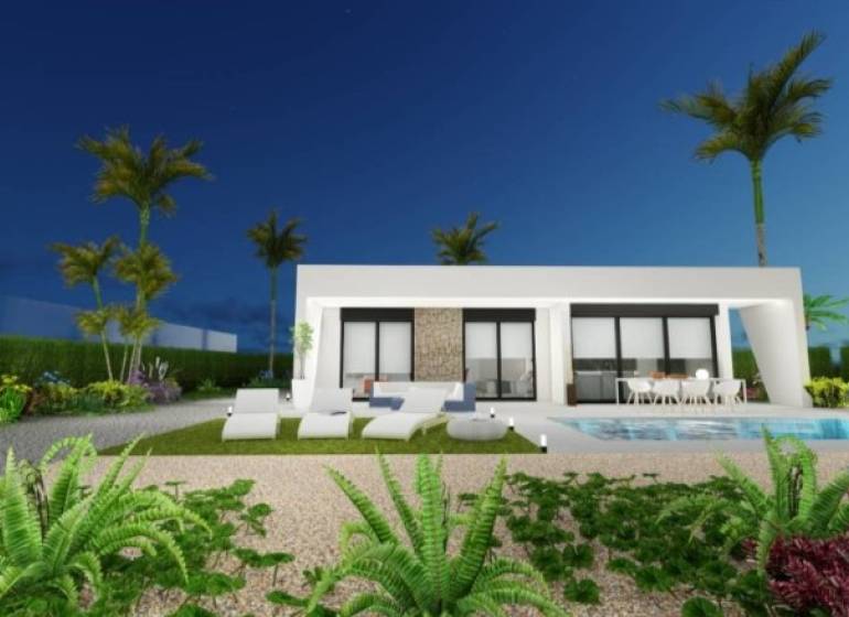 Ekologická novostavba Calasparra, 77-117m2, 2-3spálne - Nočná záhrada rodinného domu v Calasparre s bazénom a palmami.