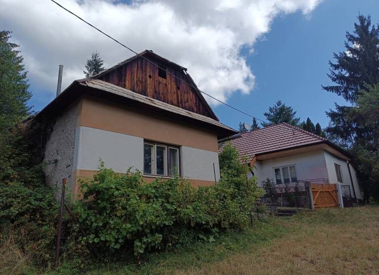 Hospodárska usadlosť s 3,6 hektárovým pozemkom na samote Nová Baňa - Starší rodinný dom so sedlovou strechou, obklopený zeleňou a lúkou, na predaj.