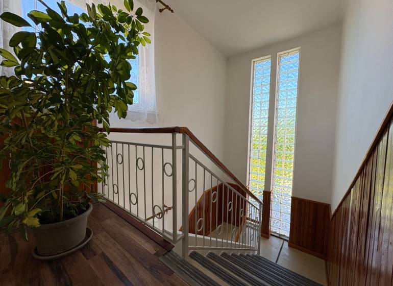Na predaj: Rodinný dom v meste Levice - Schodisko v rodinnom dome s rastlinou a dekoratívnym zábradlím, podlaha s dreveným dekorom.
