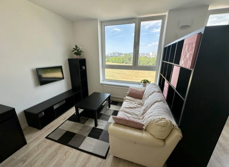 Nový 2 izbový byt SLNEČNICE, Labutia ulica, Bratislava V. Petržalka - Obývacia izba v 2-izbovom byte s pohovkou, televízorom a podlahou s dreveným dekorom.