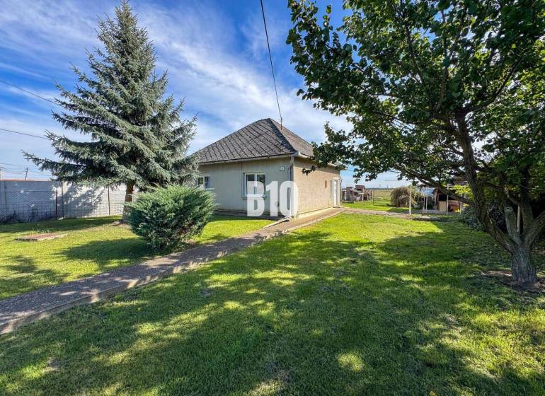 Rodinný dom s veľkým pozemkom (4641 m2)  - Ondrejovce - Rodinný dom v Ondrejovciach obklopený zeleným trávnikom a stromami v priestrannej záhrade.