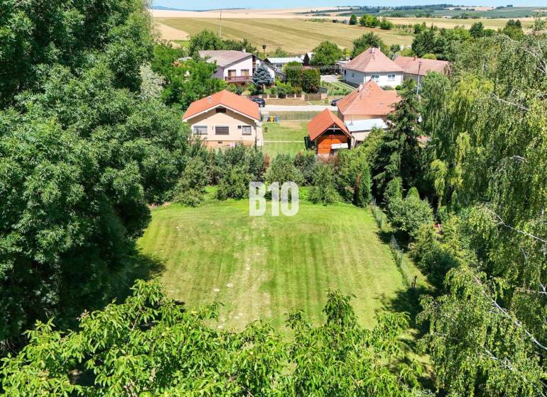 Rodinný dom s krásnym veľkým pozemkom ( stavebným) - Nové Sady - Záhrada obklopená zeleňou a rodinnými domami v Nových Sadoch.