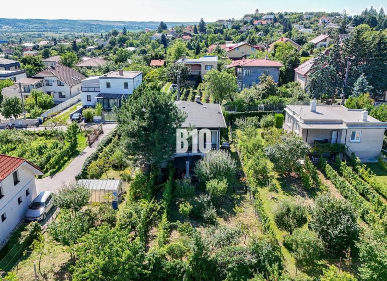 Rodinný dom s nádherným 8 árovým pozemkom na Kamennej ulici - Letecký pohľad na rodinný dom na Kamennej ulici v Nitre obklopený zeleňou a záhradou.