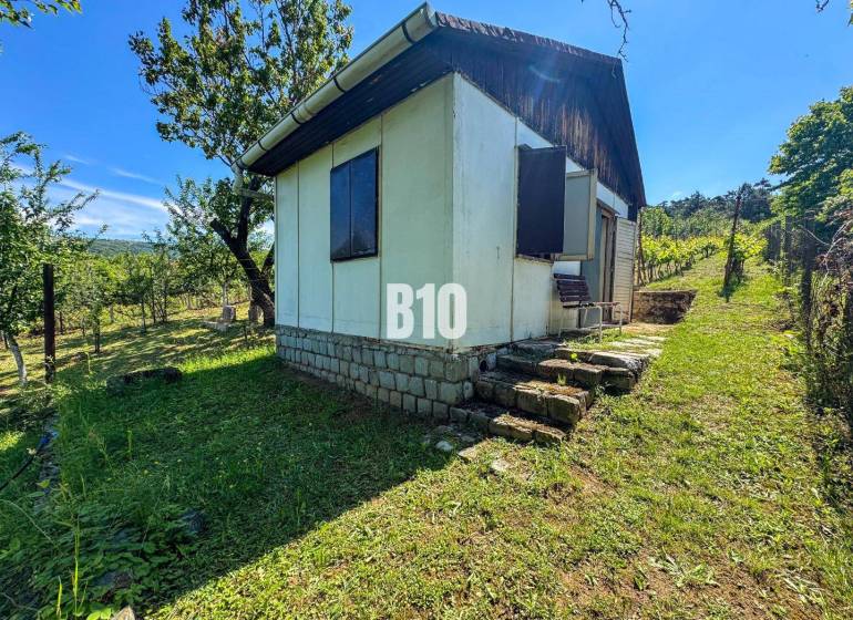 Vinica na skok od Nitry + chata - 590 m2 - Drevená chatka uprostred viníc v Nitre, obklopená zeleňou a stromami.