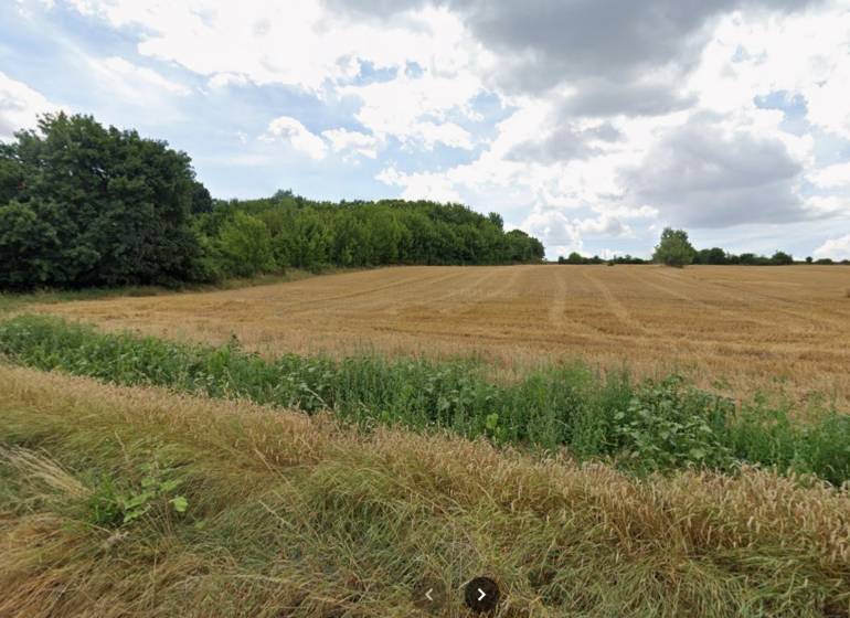 PREDAJ - Pozemok 1100 m2 - Nitra - Pole s úrodou a stromami na Pod Hájom v Nitre, vhodné pre poľnohospodárske využitie.