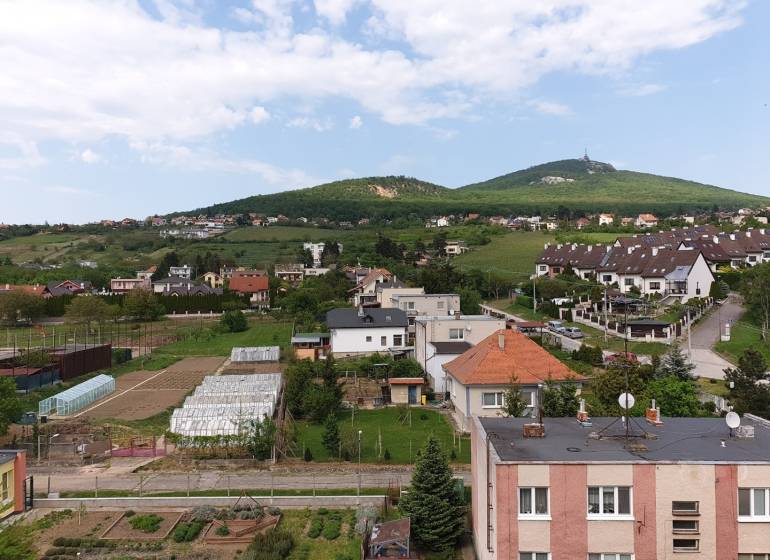 PRENÁJOM - Byt s krásnym výhľadom - Nitra, Dolnohorská - Výhľad z Dolnohorskej ulice v Nitre, obklopenej zeleňou a rodinnými domami.