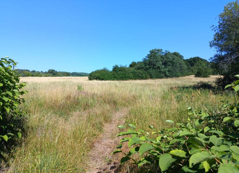 INVESTIČNÝ POZEMOK - Prievidza - Pozemky - bývanie v Prievidzi so zeleňou a lúčnou cestou pod modrou oblohou.