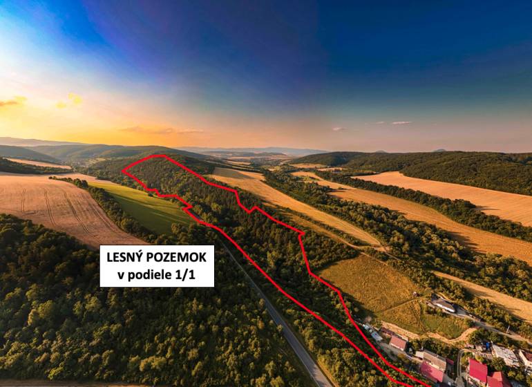 Rokycany – 70.000 m2 LESNÝ POZEMOK v podiele 1/1 - Lesný pozemok obklopený poľnohospodárskymi poliami a krajinou v okolí Rokycian.